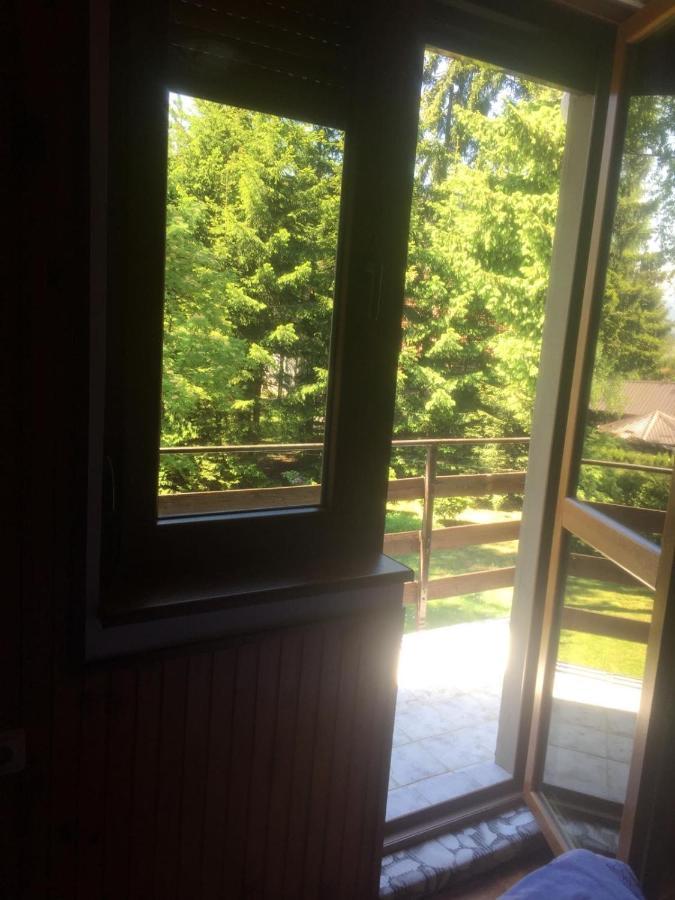 Vila Borovic Zlatibor Eksteriør billede