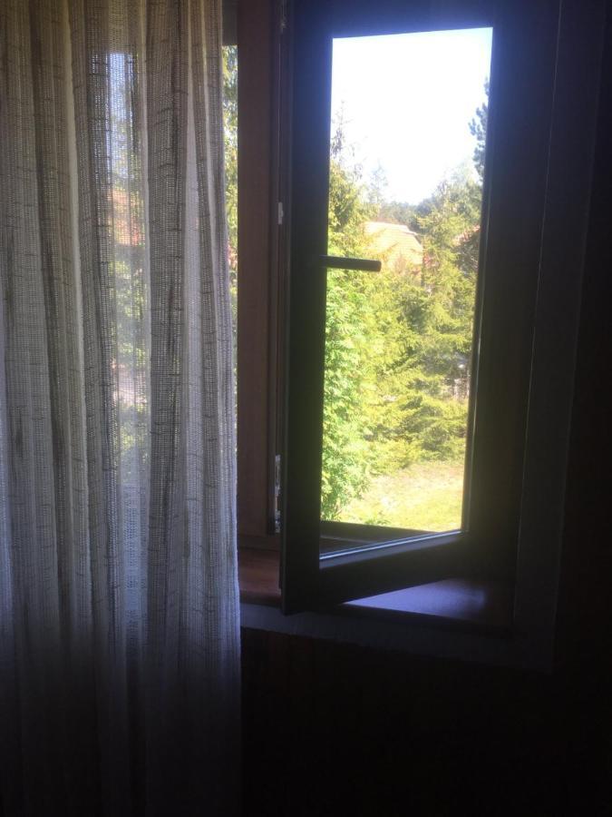 Vila Borovic Zlatibor Eksteriør billede