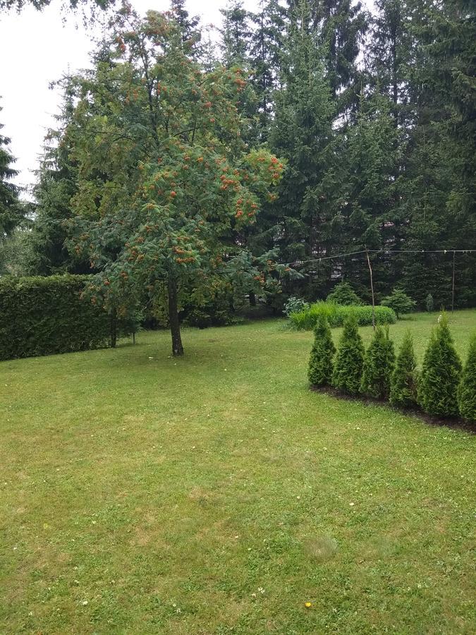 Vila Borovic Zlatibor Eksteriør billede