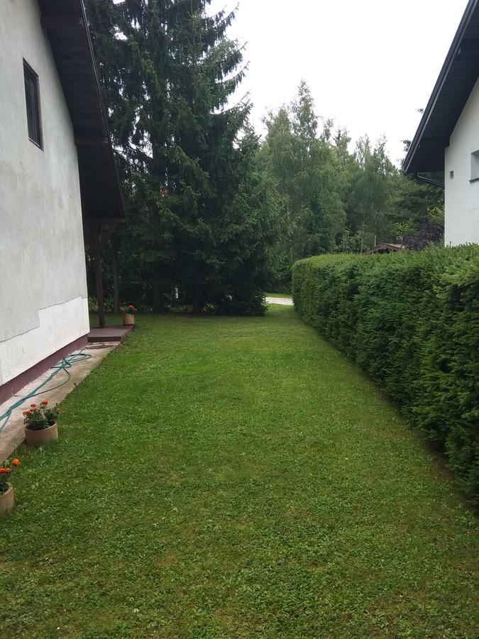 Vila Borovic Zlatibor Eksteriør billede