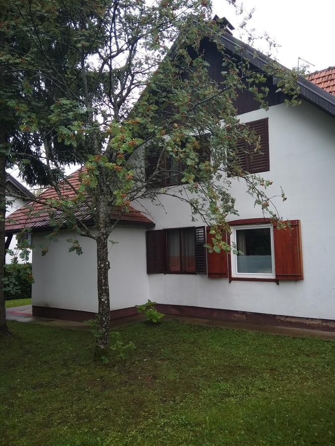 Vila Borovic Zlatibor Eksteriør billede